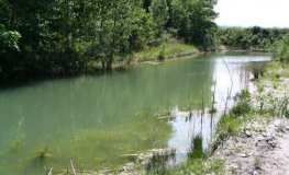 To create, maintain and preserve valuable habitats for endangered plants and animal species in extraction sites.