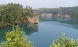 Partial backfill of a body of water to maintain the current habitat of the green frog population