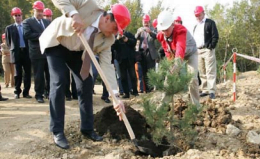 Planting of 21.000 trees