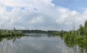 To create a wide spectrum of natural and close to nature communities (mainly water and wetland communities)