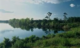 Creation of a wetland with a pedagogical vocation