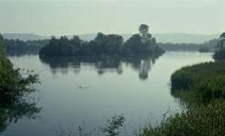 Creation of an ornithological reserve with a scientific and pedagogical vocation which offers peace to water fowl