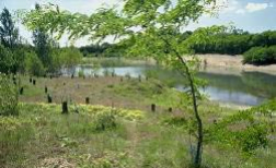 To offer a wintering place to northern birds and a resting place for migratory birds over their flighway