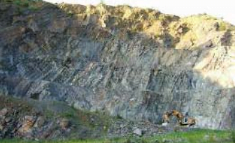 The settlement of the yellow-bellied toad led to the classification of the quarry as a FFH-area