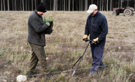The prevailing of the local landscape through the innovative restoration and the biodiversity approach at the Sępólno Gravel extraction site