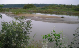 Conservation of a protected bird territory and nature protection of flood territory utilising sedimentation of sludge pits
