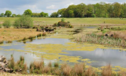 To restore its sand and gravel extraction sites to woodland, landscaped lakes and heathland