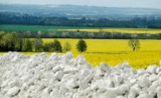 Progressive restoration scheme in place for the quarry to provide, on completion of working, an area of high quality agricultural