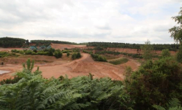 To create areas for heathland specialist wildlife such as nightjars, Dartford warblers and wood larks