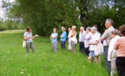 Creation and management of a Hay Meadow