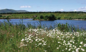 Launch of Tarmac’s Biodiversity Action Plan for sites in Northumberland