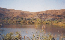 Attempt to recover the original Jarama river wetlands areas which unfortunately almost disappeared in the region