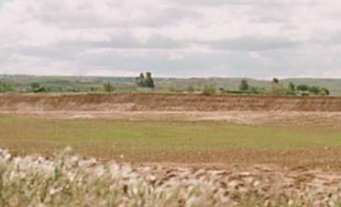 Restoration of habitat for some steppe birds like the great bustard, the little bustard, harriers