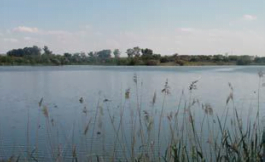 To improve and to restore the river area, taking into account the objectives of the Natural Resources Planning of the Regional Park