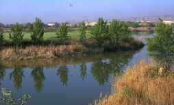 To restore degraded spaces into a Regional Park, a protected natural area, inside Natura 2000
