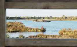 Developing the ecological potential of the quarry while preserving water resources of the site and the local natural heritage
