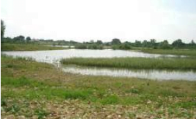 To create a natural landscape with both patrimonial and educational objectives