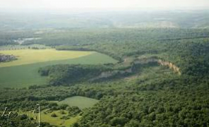 Biodiversity | Natural Area of Ecological Interest as an Important Area for the Conservation of Bird