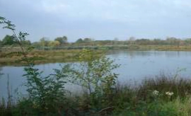 Presence of many nesting bird species led to the ZPS designation of the Natura 2000