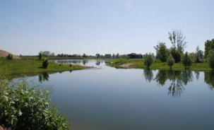 Rehabilitation so that birds and European pond terrapin could recolonize the site.
