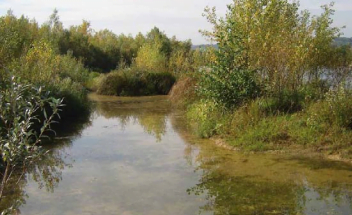 High-quality ecological development based on long-term knowledge of the site