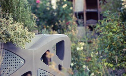 The odyssey of the wild pollinators