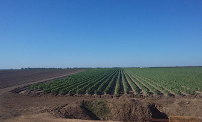 Restoration of the gravel site El Toril – Sevilla