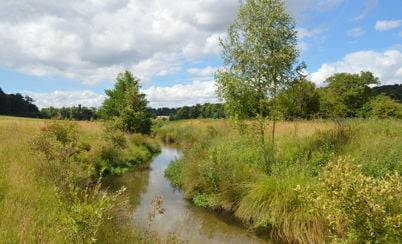 Restoration of Panshangar Park